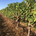 Bed & Breakfast Manoir De Jouralem Blaison