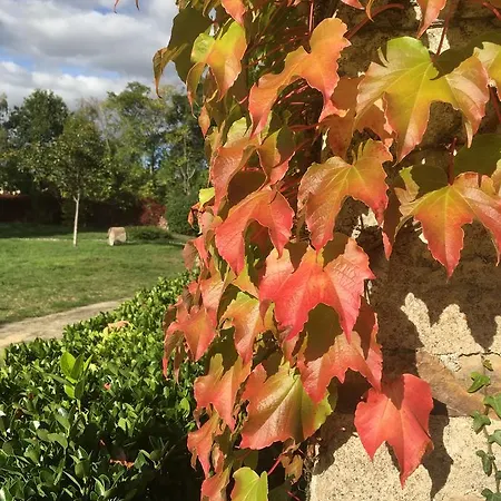 Manoir De Jouralem Bed & Breakfast Blaison