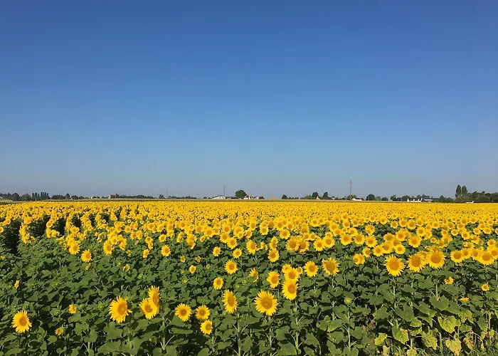 Manoir De Jouralem לינה וארוחת בוקר Blaison